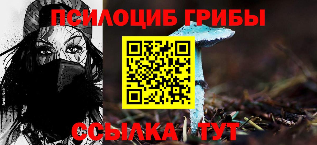 Галлюциногенные грибы MAGIC MUSHROOMS  Псилоцибиновые грибы Magic Shrooms  Клин  Вход с VPN 